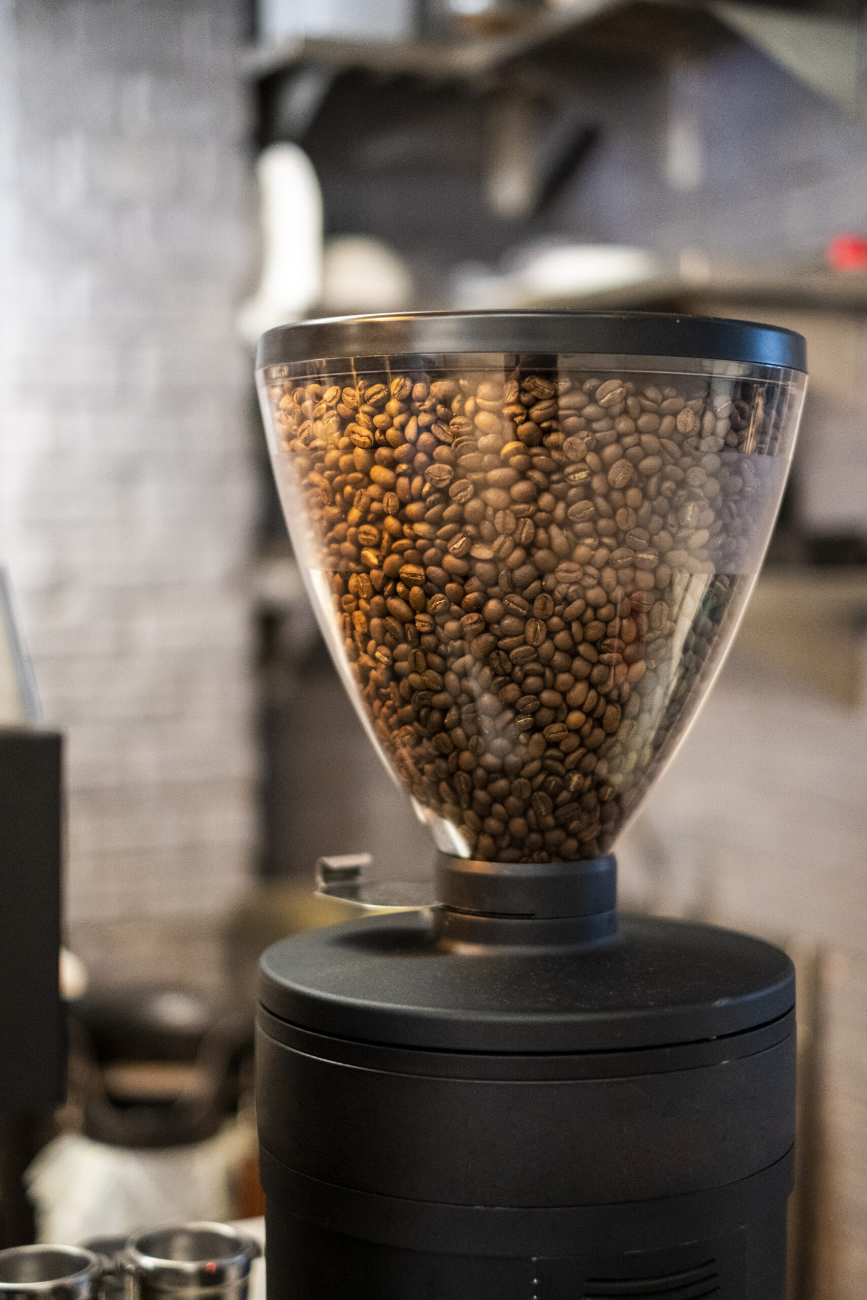 Molinillo de café eléctrico